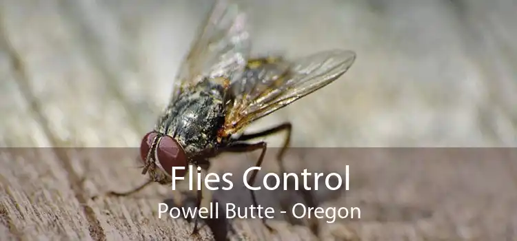 Flies Control Powell Butte - Oregon
