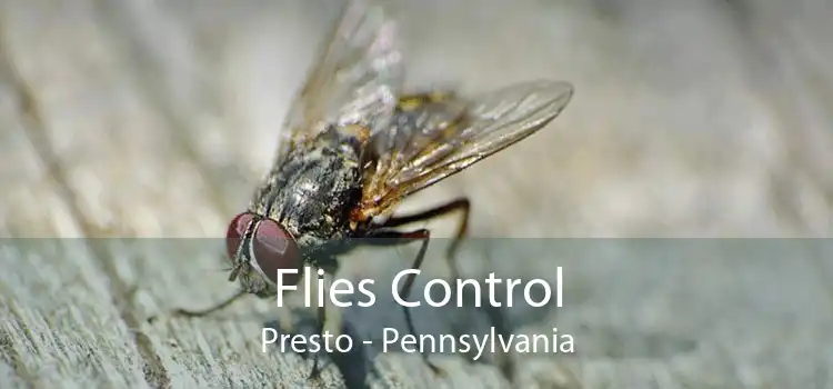 Flies Control Presto - Pennsylvania