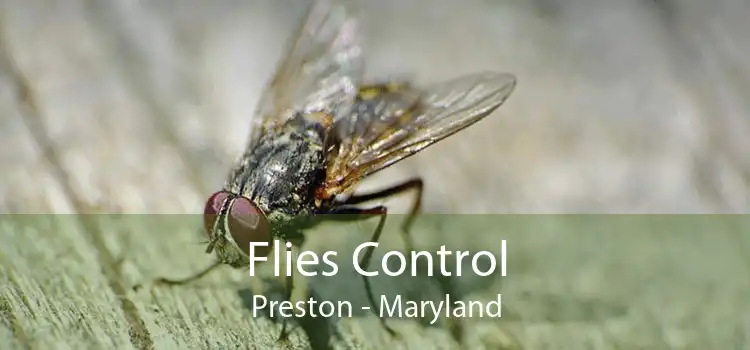 Flies Control Preston - Maryland