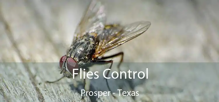 Flies Control Prosper - Texas