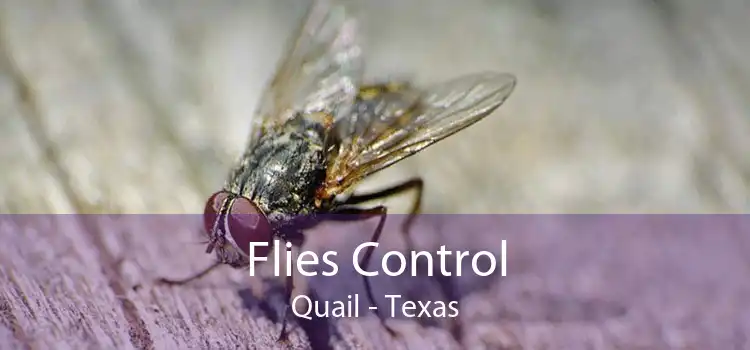 Flies Control Quail - Texas