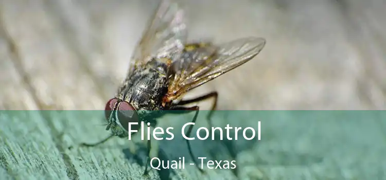 Flies Control Quail - Texas