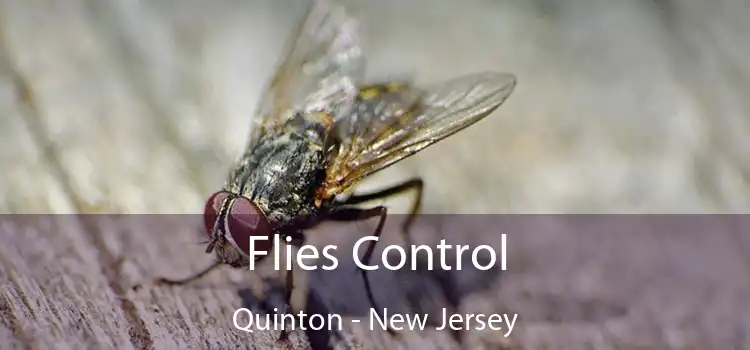 Flies Control Quinton - New Jersey