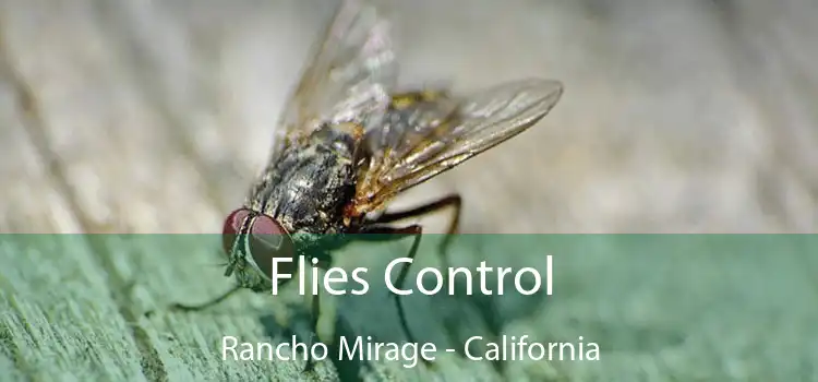 Flies Control Rancho Mirage - California