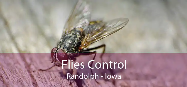 Flies Control Randolph - Iowa