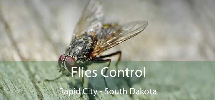 Flies Control Rapid City - South Dakota