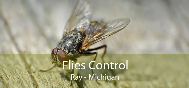 Flies Control Ray - Michigan