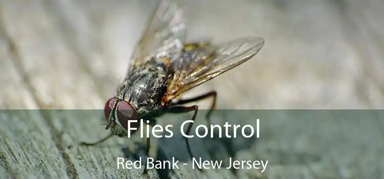 Flies Control Red Bank - New Jersey