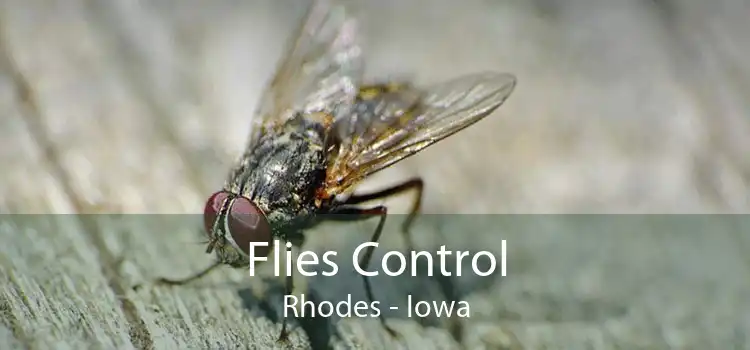 Flies Control Rhodes - Iowa