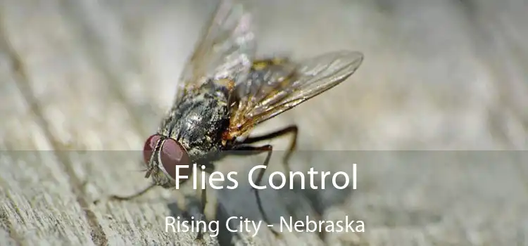 Flies Control Rising City - Nebraska