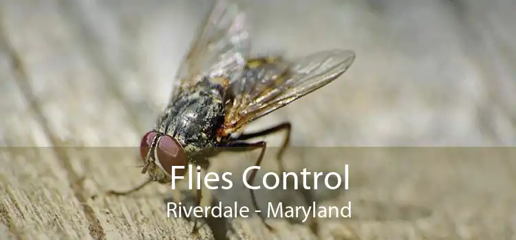 Flies Control Riverdale - Maryland