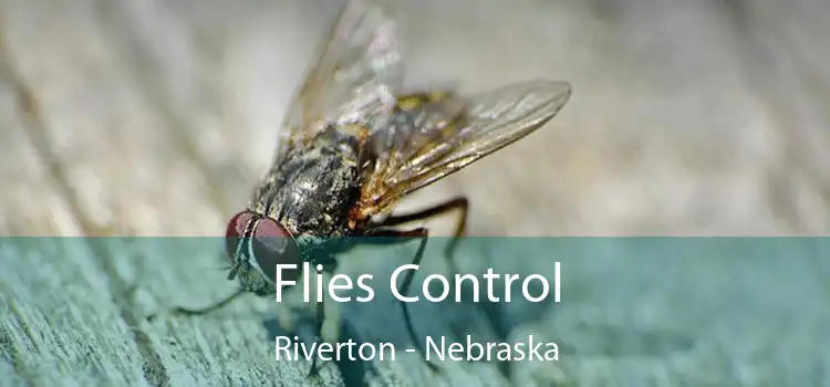 Flies Control Riverton - Nebraska