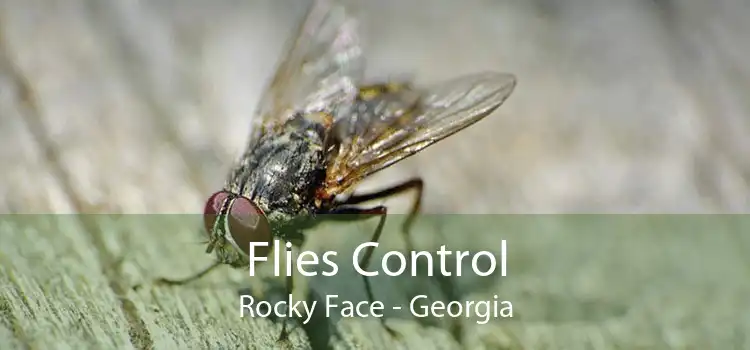 Flies Control Rocky Face - Georgia