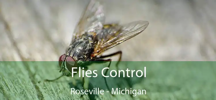 Flies Control Roseville - Michigan