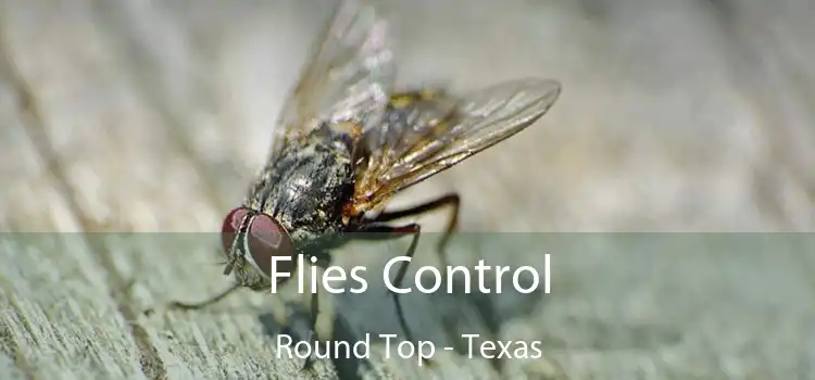 Flies Control Round Top - Texas