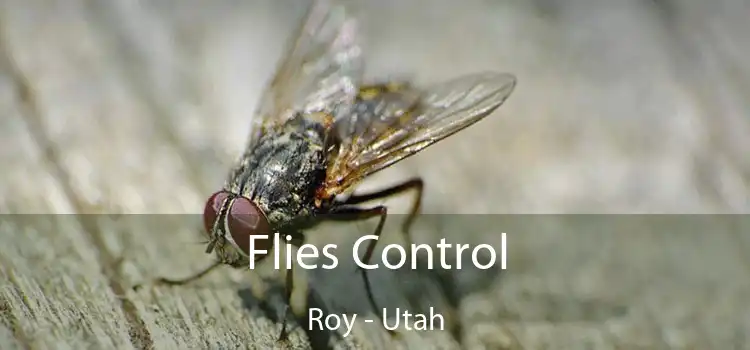 Flies Control Roy - Utah