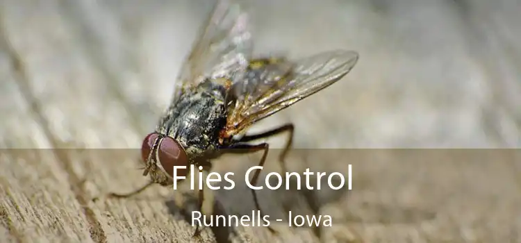 Flies Control Runnells - Iowa