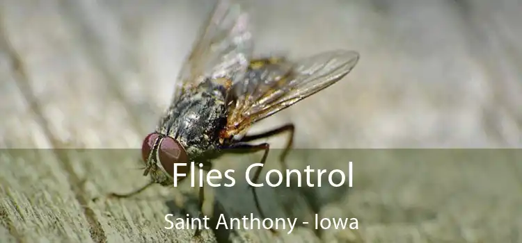 Flies Control Saint Anthony - Iowa