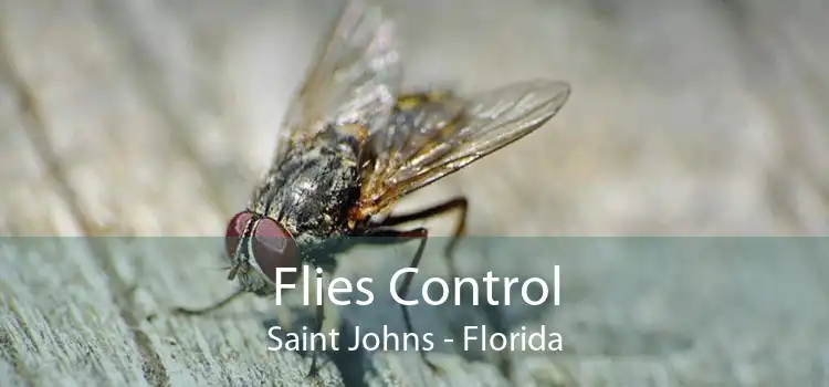 Flies Control Saint Johns - Florida