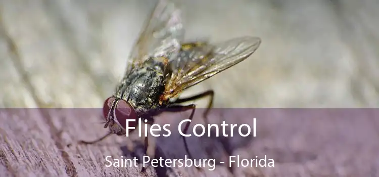 Flies Control Saint Petersburg - Florida