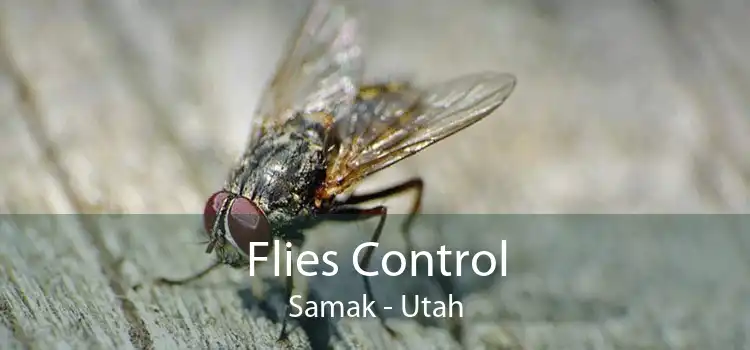 Flies Control Samak - Utah