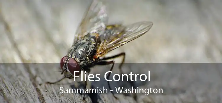 Flies Control Sammamish - Washington