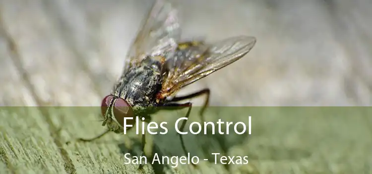 Flies Control San Angelo - Texas