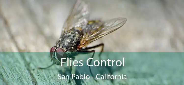 Flies Control San Pablo - California