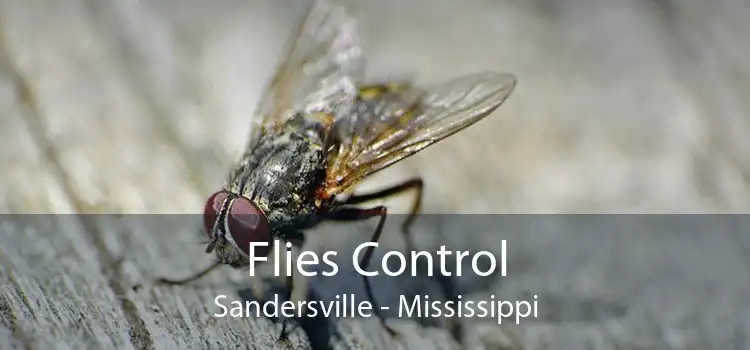Flies Control Sandersville - Mississippi