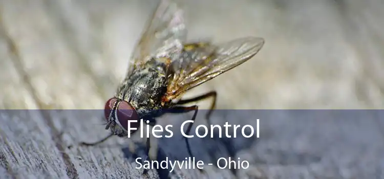 Flies Control Sandyville - Ohio