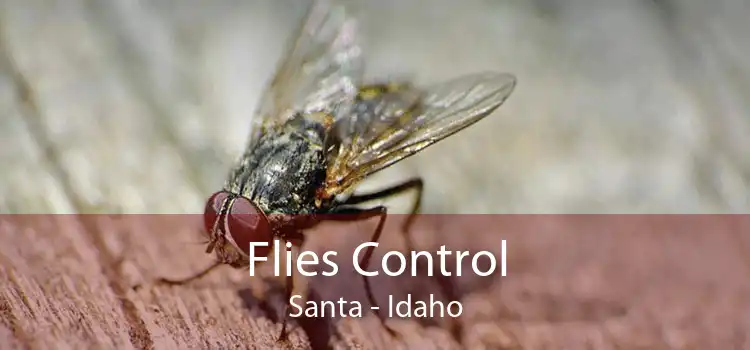 Flies Control Santa - Idaho