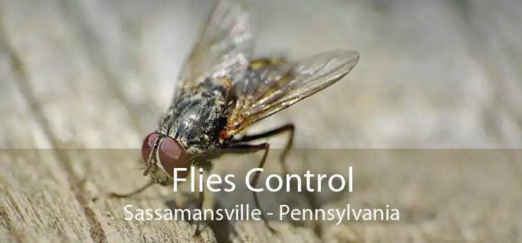 Flies Control Sassamansville - Pennsylvania