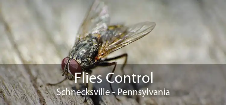 Flies Control Schnecksville - Pennsylvania
