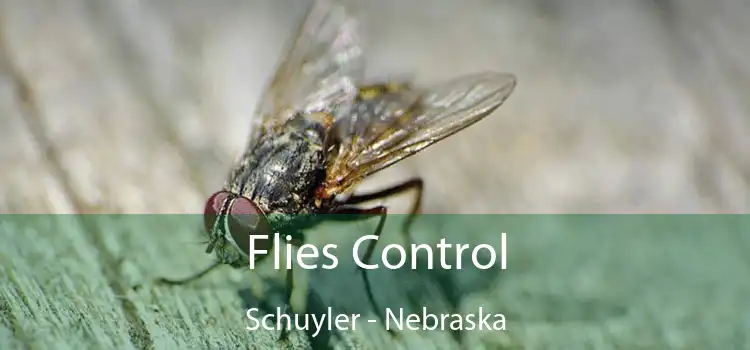 Flies Control Schuyler - Nebraska