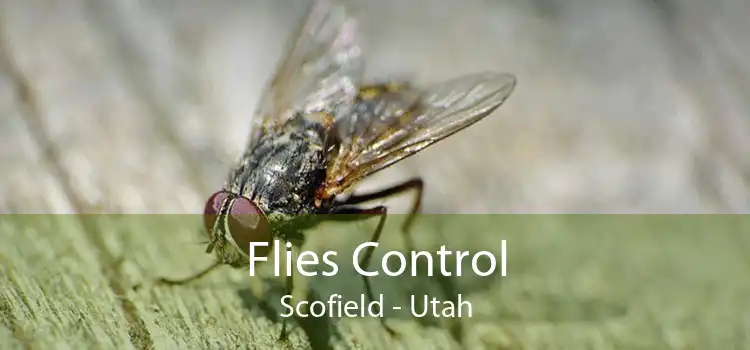 Flies Control Scofield - Utah