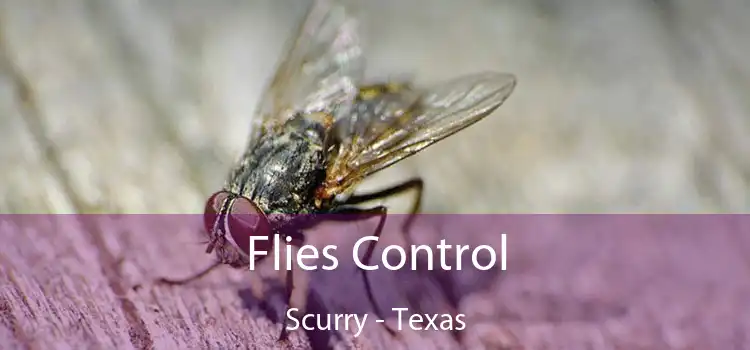 Flies Control Scurry - Texas