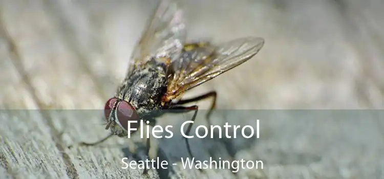 Flies Control Seattle - Washington