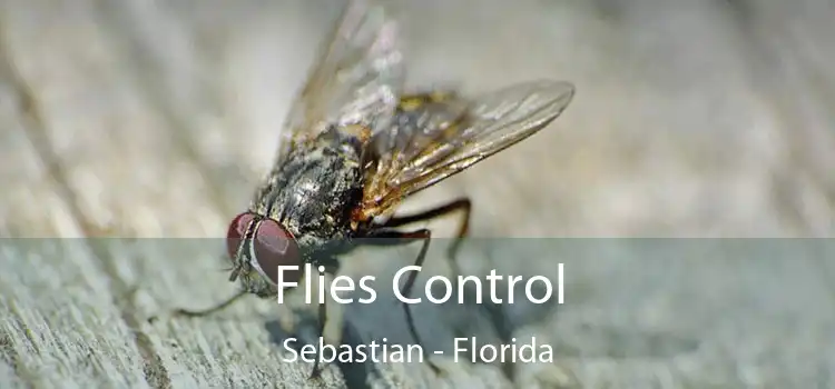 Flies Control Sebastian - Florida