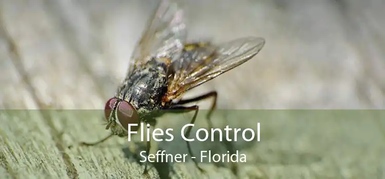 Flies Control Seffner - Florida