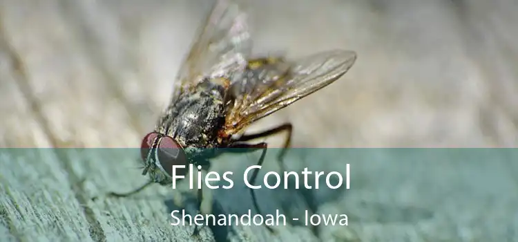 Flies Control Shenandoah - Iowa