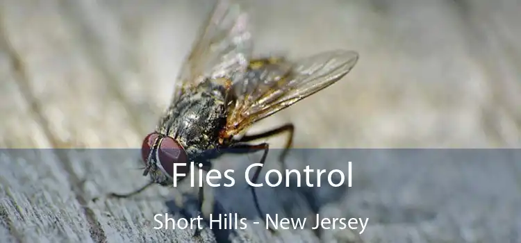 Flies Control Short Hills - New Jersey