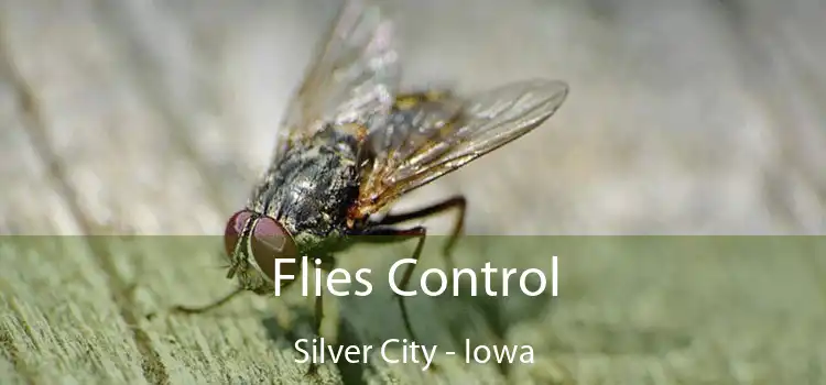 Flies Control Silver City - Iowa