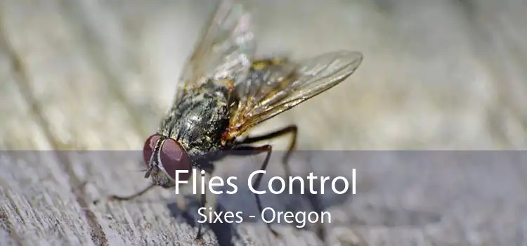 Flies Control Sixes - Oregon