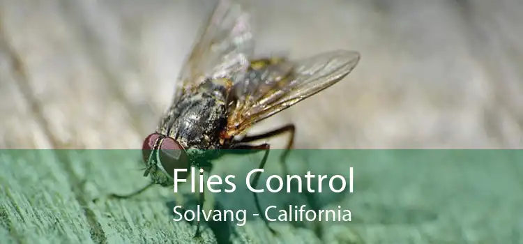Flies Control Solvang - California