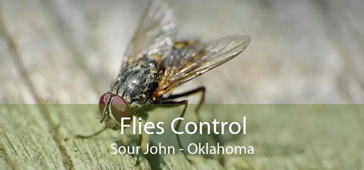 Flies Control Sour John - Oklahoma