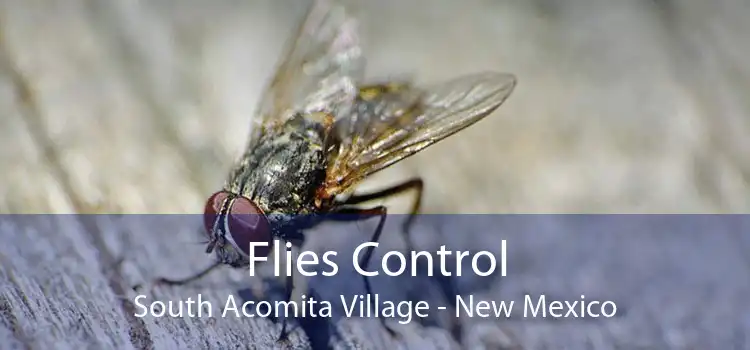 Flies Control South Acomita Village - New Mexico