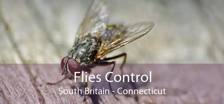 Flies Control South Britain - Connecticut