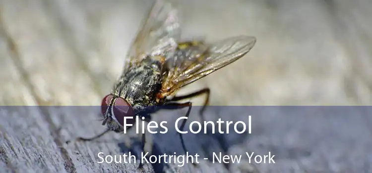 Flies Control South Kortright - New York