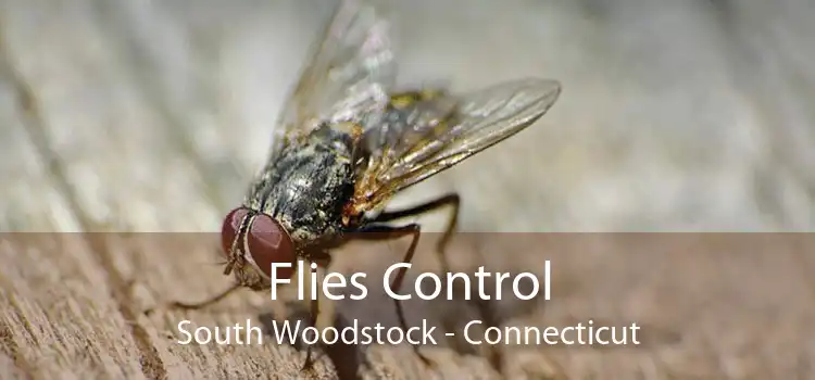 Flies Control South Woodstock - Connecticut