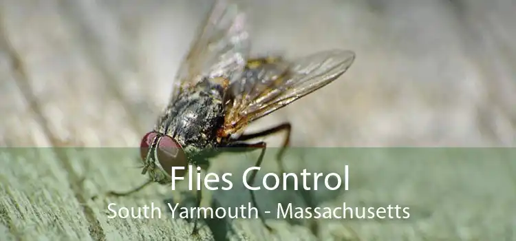 Flies Control South Yarmouth - Massachusetts